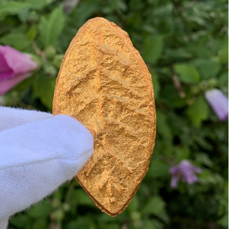 Шу пуэр Бронзовый лист 2015 года 70 г 10 шт